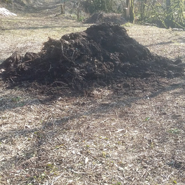 Parcelle NÂ° 82 Sudan, Ã©tape 4 apporter 12 tonnes de fumure de bovins compostÃ©e, #resincon_association